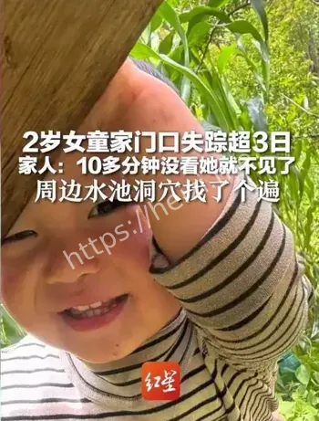 2岁女童家门口失踪事件