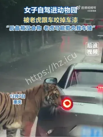 女子自驾老虎咬车漆事件